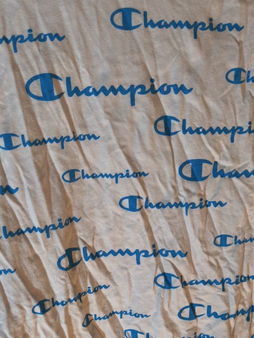 Champion Men’s White T-Shirt with Blue Logo Print - Picture 2 of 4